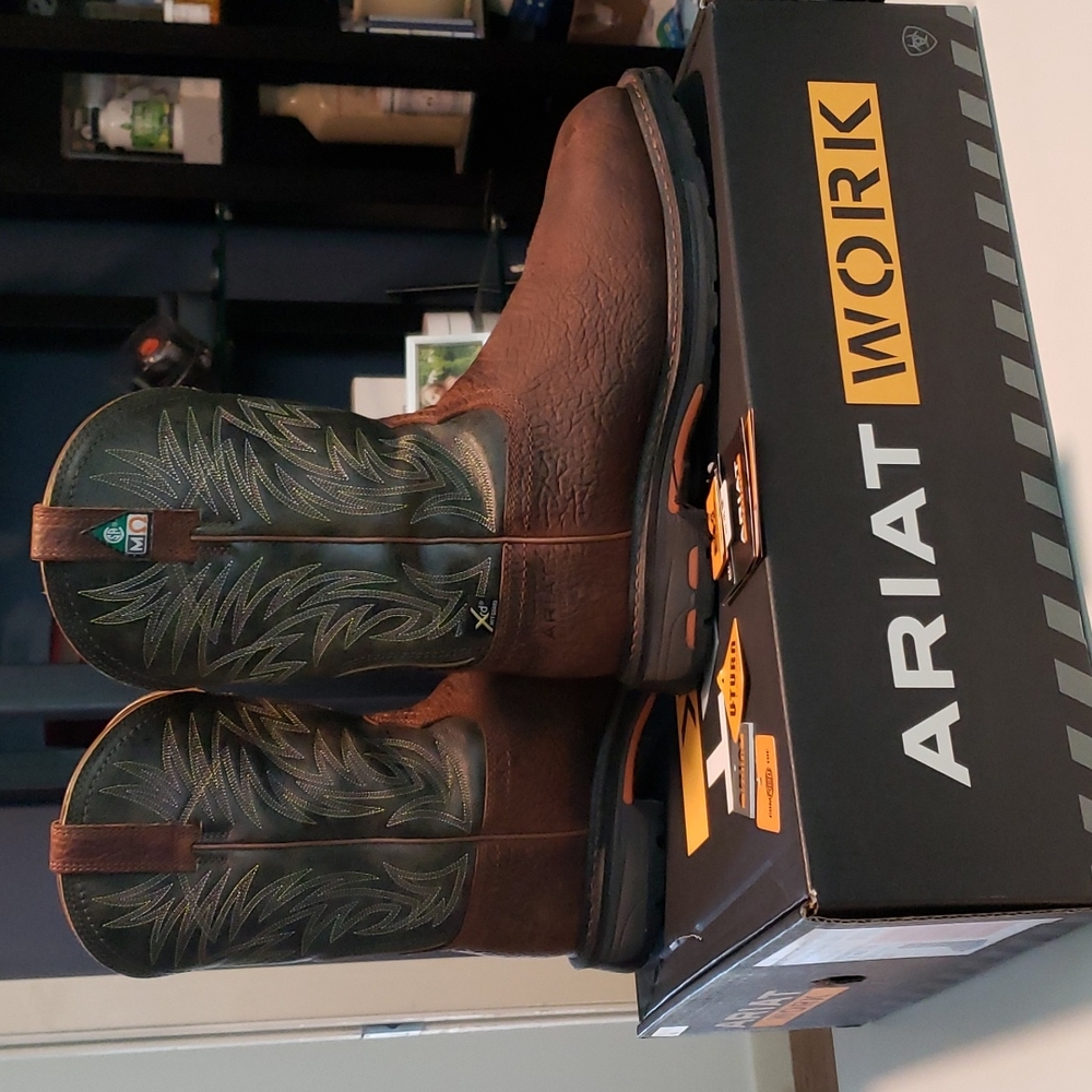 Ariat Men's Workhog CSA boots